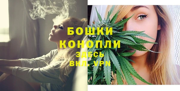 хмурый Ступино