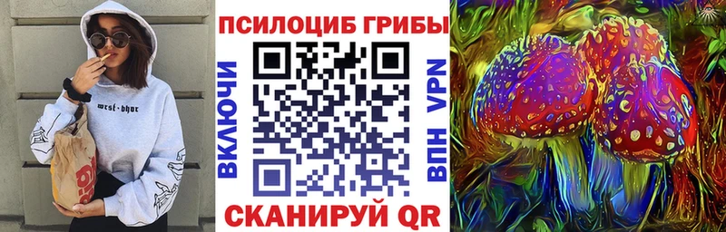 закладки Зеленоградск OMG Галлюциногенные грибы MAGIC MUSHROOMS